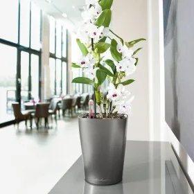 LECHUZA Maceta DELTINI ALL-IN-ONE carbón metálico de , Maceteros y jardineras - Ref: Foro24-443316, Precio: 21,80 €, Descuent...