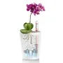 LECHUZA Maceta DELTINI ALL-IN-ONE carbón metálico de , Maceteros y jardineras - Ref: Foro24-443316, Precio: 21,80 €, Descuent...