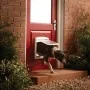 PetSafe Puerta mascotas 2 posiciones 740 mediana 26,7x22,8 blanca 5020 | Foro24.es | Tu tienda online para hogar, jardín y más Foro24.es