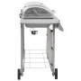 Barbacoa de gas con 6 fogones plateada by , Barbecues - Ref: Foro24-3053632, Price: 298,04 €, Discount: -5%%