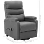 Sillón elevable tela gris claro de , Sillones - Ref: Foro24-321236, Precio: 343,12 €, Descuento: %
