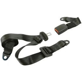 Carpoint Cinturón de seguridad de 3 puntos