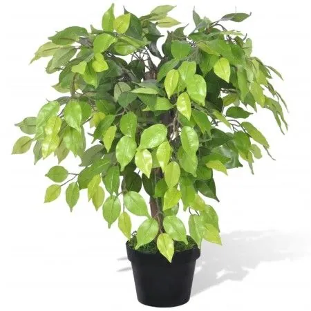 Artificial Dwarf Ficus Plant in Pot, 60cm by vidaXL, artificial flora - Ref: Foro24-241358, Price: 36,61 €, Discount: %