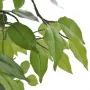 Artificial Dwarf Ficus Plant in Pot, 60cm by vidaXL, artificial flora - Ref: Foro24-241358, Price: 36,61 €, Discount: %