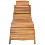 Tumbona de madera maciza de acacia marrón de vidaXL, Tumbonas - Ref: Foro24-46650, Precio: 151,00 €, Descuento: %
