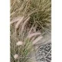 Emerald Artificial plant pennisetum 71 cm green 418155 by Emerald, artificial flora - Ref: Foro24-414494, Price: 53,32 €, Dis...