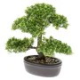 Emerald Mini bonsai artificial Ficus verde 32 cm 420002 de Emerald, Flora artificial - Ref: Foro24-414503, Precio: 52,04 €, D...
