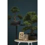 Emerald Mini artificial green Ficus bonsai 47 cm 420006 by Emerald, artificial flora - Ref: Foro24-414506, Price: 78,50 €, Di...
