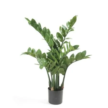 Emerald Artificial Zamioculca Plant 70 cm by Emerald, artificial flora - Ref: Foro24-423603, Price: 55,44 €, Discount: %