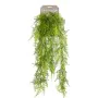 Emerald Künstlicher Federfarn 80 cm von Emerald, Künstliche Flora - Ref: Foro24-423622, Preis: 22,34 €, Rabatt: %