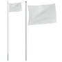 Modular flagpole silver aluminum 6.23 m by vidaXL, Flags and windsocks - Ref: Foro24-153562, Price: 68,51 €, Discount: %