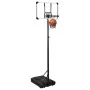 Transparent polycarbonate basketball basket 235-305 cm by vidaXL, basketball baskets - Ref: Foro24-93654, Price: 174,14 €, Di...