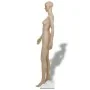 Maniquí de mujer A de vidaXL, Maniquís - Ref: Foro24-30017, Precio: 118,62 €, Descuento: %