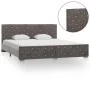 Grauer Samtbettrahmen 180x200 cm von vidaXL, Betten und Lattenroste - Ref: Foro24-286834, Preis: 307,16 €, Rabatt: %