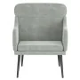 Sillón de terciopelo gris claro 63x76x80 cm de vidaXL, Sillones - Ref: Foro24-351436, Precio: 83,96 €, Descuento: %