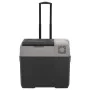 Schwarzer und grauer Polypropylen-Kühlschrank mit Rädern und Adapter 30 L von vidaXL, Kühlschränke - Ref: Foro24-3154635, Pre...