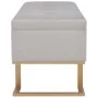 Banco con compartimento 105 cm gris de terciopelo de vidaXL, Bancos para recibidores y almacenamiento - Ref: Foro24-247573, P...