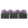 Arriate de jardín WPC gris 300x100x54 cm de vidaXL, Maceteros y jardineras - Ref: Foro24-318101, Precio: 473,85 €, Descuento: %