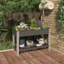 Gartenbett mit Regal WPC grau 120x50x75 cm von vidaXL, Töpfe und Pflanzgefäße - Ref: Foro24-362570, Preis: 216,20 €, Rabatt: %
