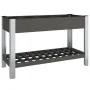 Garden bed with shelf WPC gray 120x50x75 cm by vidaXL, Pots and planters - Ref: Foro24-362570, Price: 216,20 €, Discount: %