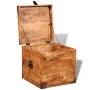 Rough Mango Wood Cubic Storage Chest by vidaXL, Storage trunks - Ref: Foro24-241636, Price: 148,49 €, Discount: %