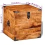 Rough Mango Wood Cubic Storage Chest by vidaXL, Storage trunks - Ref: Foro24-241636, Price: 148,49 €, Discount: %