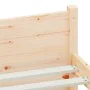 Bettgestell aus Massivholz 120x200 cm von vidaXL, Betten und Lattenroste - Ref: Foro24-815039, Preis: 111,71 €, Rabatt: %