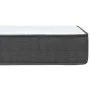 Box spring bed dark gray fabric 200x200 cm by vidaXL, Beds and slatted bases - Ref: Foro24-3054711, Price: 752,52 €, Discount: %