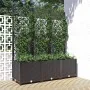 Pflanzgefäß mit schwarzem PP-Gitter 120x40x136 cm von vidaXL, Töpfe und Pflanzgefäße - Ref: Foro24-318273, Preis: 179,85 €, R...