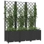 Pflanzgefäß mit schwarzem PP-Gitter 120x40x136 cm von vidaXL, Töpfe und Pflanzgefäße - Ref: Foro24-318273, Preis: 179,85 €, R...