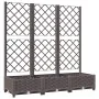Jardinera con enrejado PP marrón 120x40x121,5 cm de vidaXL, Maceteros y jardineras - Ref: Foro24-318262, Precio: 107,52 €, De...