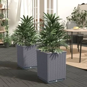 Planters 2 pcs dark gray polypropylene 30x30x37 cm by vidaXL, Pots and planters - Ref: Foro24-364180, Price: 52,93 €, Discoun...