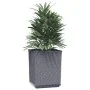 Planters 2 pcs dark gray polypropylene 30x30x37 cm by vidaXL, Pots and planters - Ref: Foro24-364180, Price: 52,93 €, Discoun...