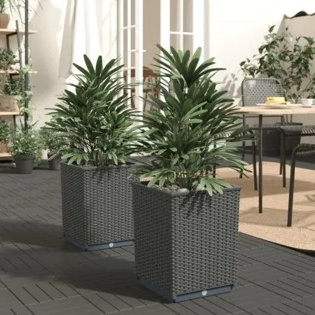 Planters 2 units black polypropylene 30x30x37 cm by vidaXL, Pots and planters - Ref: Foro24-364182, Price: 56,99 €, Discount: %