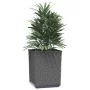 Planters 2 units black polypropylene 30x30x37 cm by vidaXL, Pots and planters - Ref: Foro24-364182, Price: 56,99 €, Discount: %