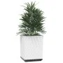 Planters 2 units white polypropylene 30x30x37 cm by vidaXL, Pots and planters - Ref: Foro24-364183, Price: 57,74 €, Discount: %