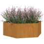 Pflanzgefäß aus rostigem Cortenstahl, 138 x 120 x 45 cm von vidaXL, Töpfe und Pflanzgefäße - Ref: Foro24-823677, Preis: 63,83...
