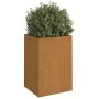 Pflanzgefäß aus Cortenstahl, 52 x 48 x 75 cm von vidaXL, Töpfe und Pflanzgefäße - Ref: Foro24-821555, Preis: 71,86 €, Rabatt: %