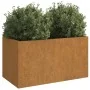 Cortenstahl-Pflanzgefäß 62x30x29 cm von vidaXL, Töpfe und Pflanzgefäße - Ref: Foro24-821556, Preis: 46,57 €, Rabatt: %