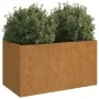 Pflanzgefäß aus Cortenstahl, 62 x 40 x 39 cm von vidaXL, Töpfe und Pflanzgefäße - Ref: Foro24-821557, Preis: 56,98 €, Rabatt: %