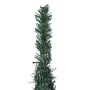Pop-up artificial Christmas tree with green LED strip 210 cm by vidaXL, Christmas trees - Ref: Foro24-321525, Price: 102,09 €...