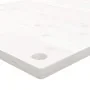 Schreibtischplatte aus massivem weißem Kiefernholz, 100 x 60 x 2,5 cm von vidaXL, Schreibtischzubehör und Produkte - Ref: For...