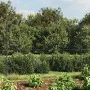 Wire fence with anthracite gray flange 2x10 m by vidaXL, fence panels - Ref: Foro24-153990, Price: 82,11 €, Discount: %