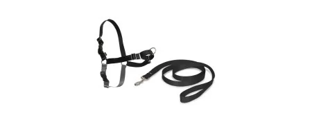 Harnesses and collars for pets