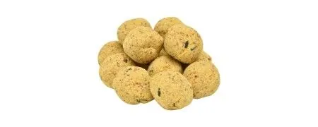 Bird food