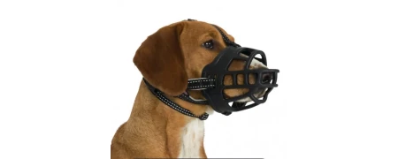 Pet muzzles