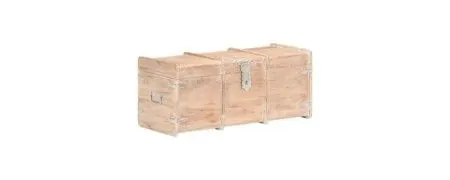 Storage trunks