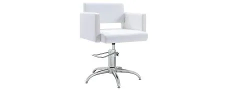 Hairdressing chairs