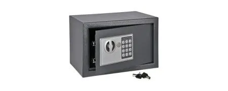 Business and home security