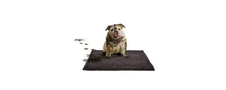 Feeder mats